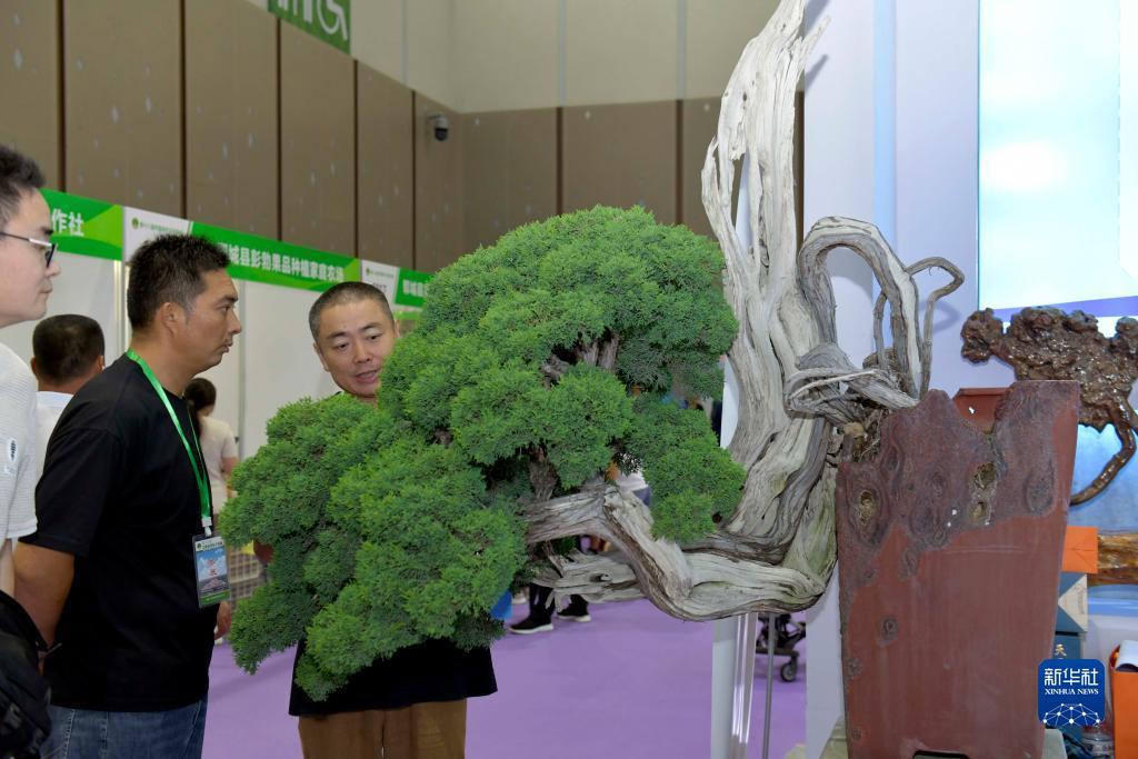 皇冠电玩城